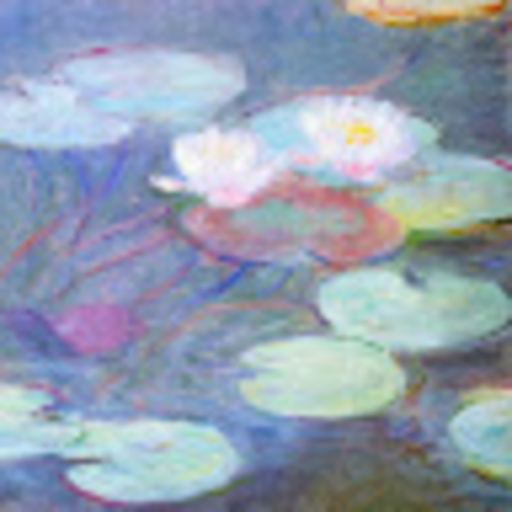 Meet your Posher, Cecilia